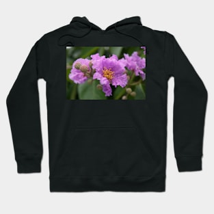 Flowers in Vientiane - Laos Hoodie